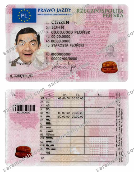 Poland driving license template in PSD format,fully editable,2019 present